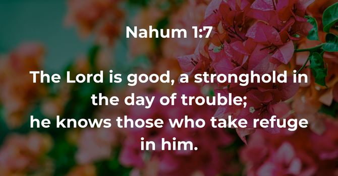 Nahum 1:7 image