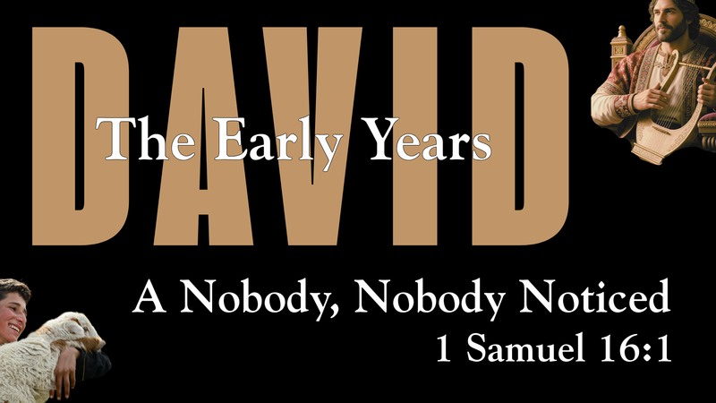 David: The Early Years