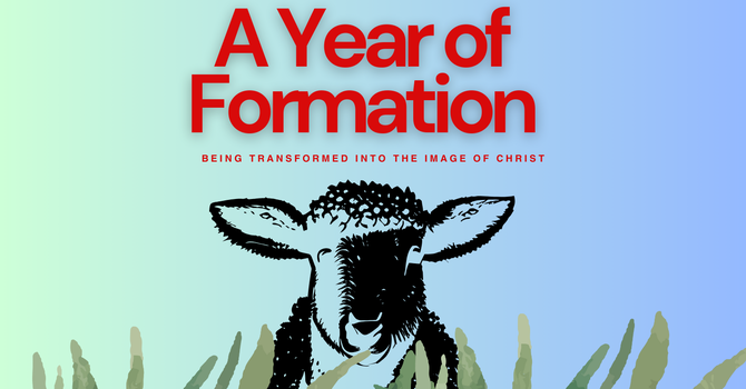 A Year of Formation