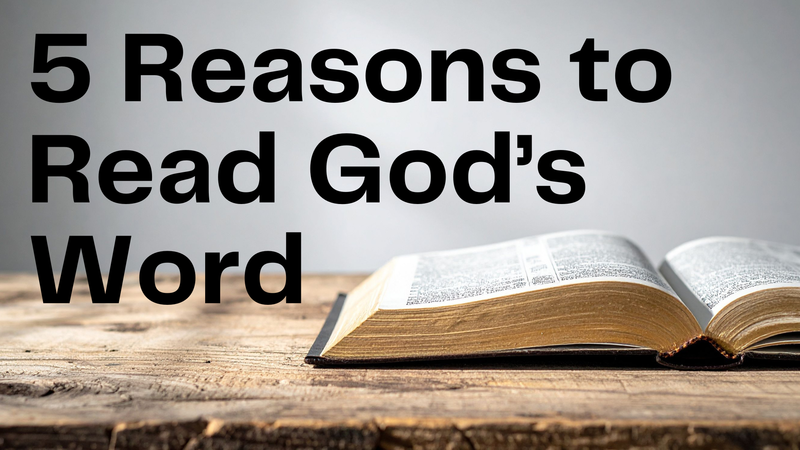 Five Reasons to Read God's Word