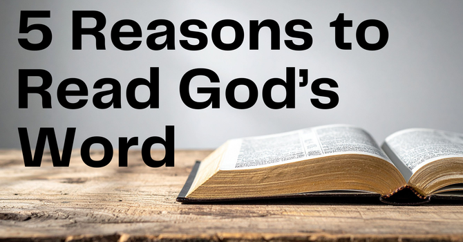 Five Reasons to Read God's Word