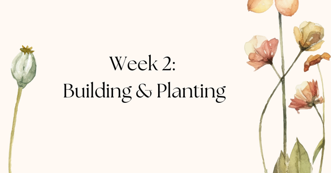 Week 2: Building & Planting image