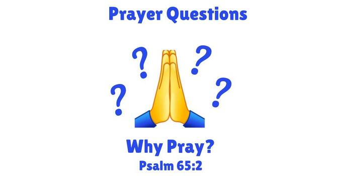 January 11, 2026 image