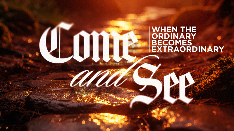 When Ordinary Becomes Extraordinary