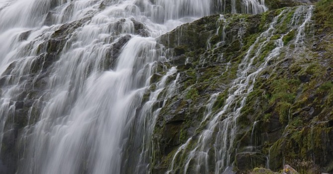 January 8, 2026 Devotion image