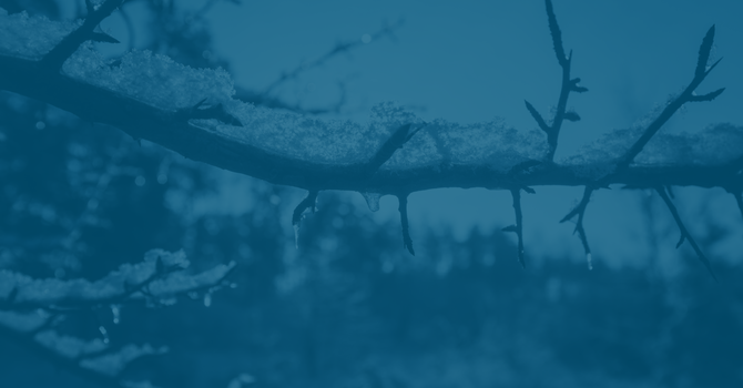 Coldest Night of the Year - Save the Date! image