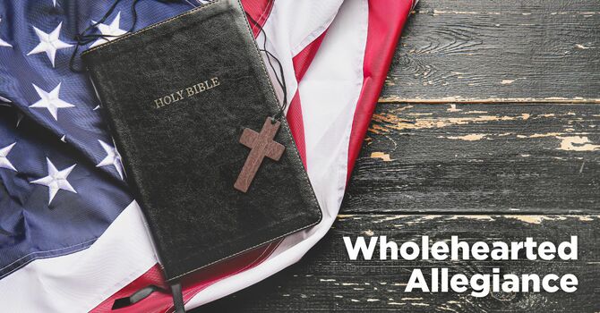Wholehearted Allegiance image