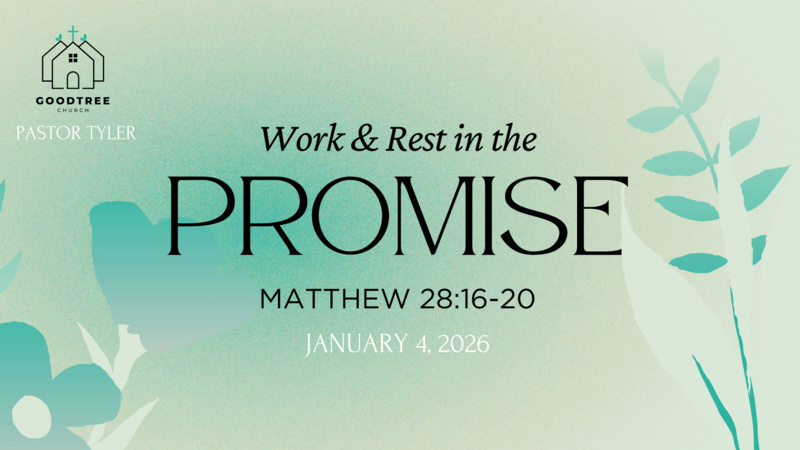 Work and Rest in The Promise