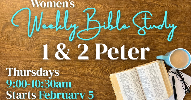 Women's Weekly Bible Study