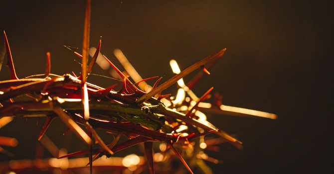 Tiempo Familiar Semana 2 - 2026