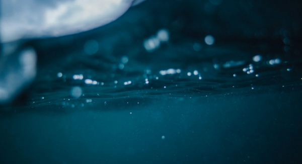 Margaret Atwood on Water