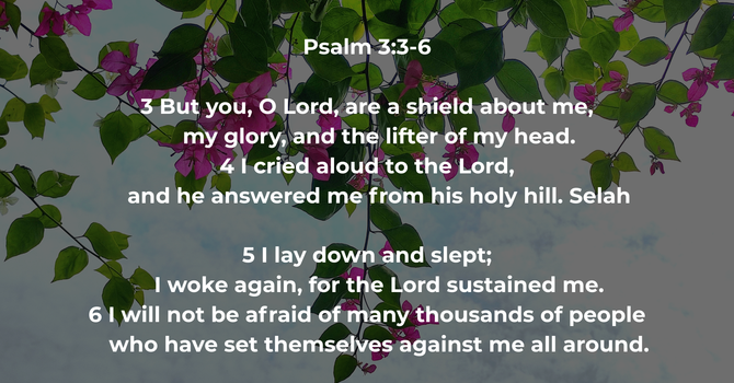 Psalm 3:3-6 image