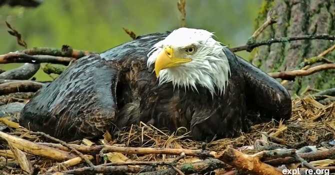 Day 5: Faith That Finds Refuge in God image