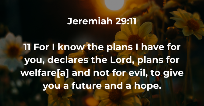 Jeremiah 29:11 image