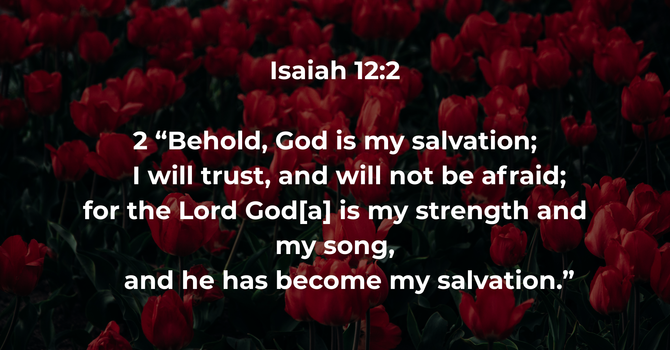 Isaiah 12:2 image