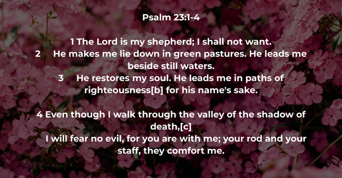 Psalm 23:1-4 image