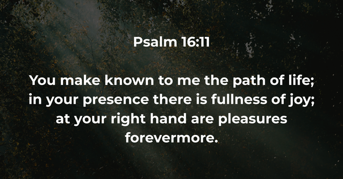 Psalm 16:11 image