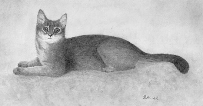 Drawing - weekly class