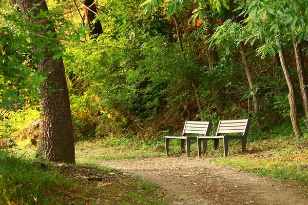 40-min forum: The BC Parks Foundation 