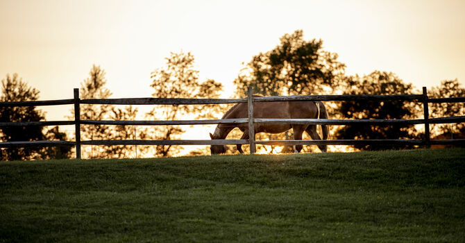 Pastor's Post 1/9/2026