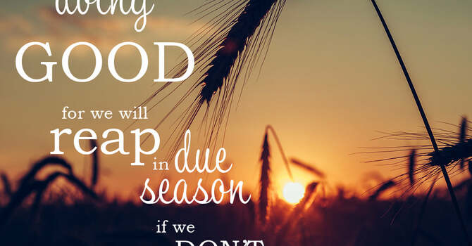 1/11/26 PGR Bulletin image