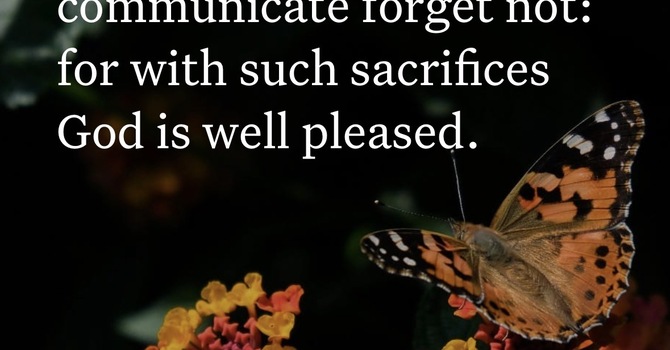 A Sacrifice of Pr image