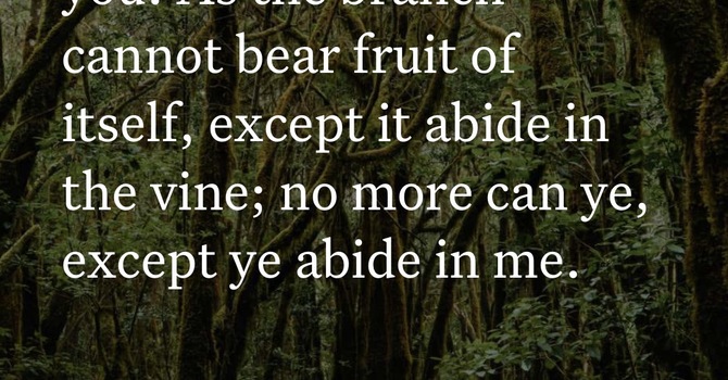 The Great Connection  image