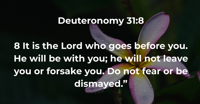 Deuteronomy 31:8 image