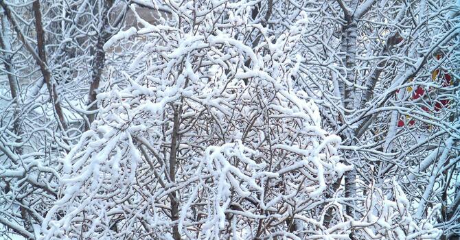 January 10, 2026 Devotion image