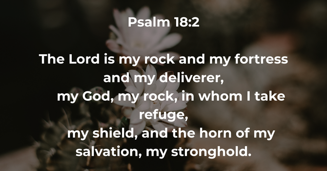 Psalm 18:2 image