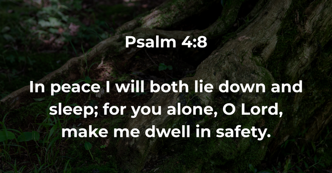 Psalm 4:8 image