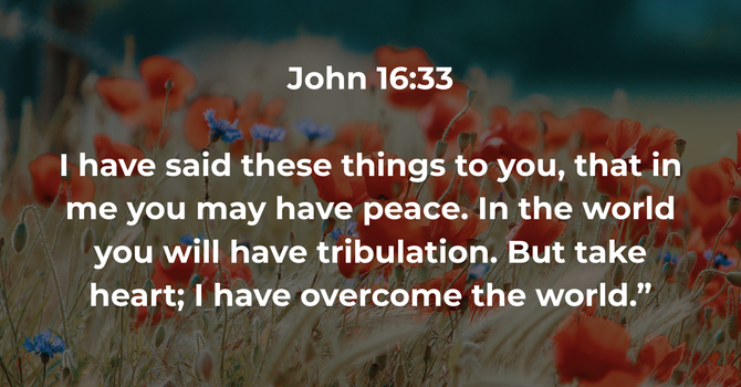 John 16:33 image