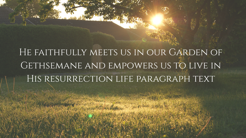 The Son Who Trembled: Jesus’ Humanity and Our Walk as Sons, Hebrews 5:1-10