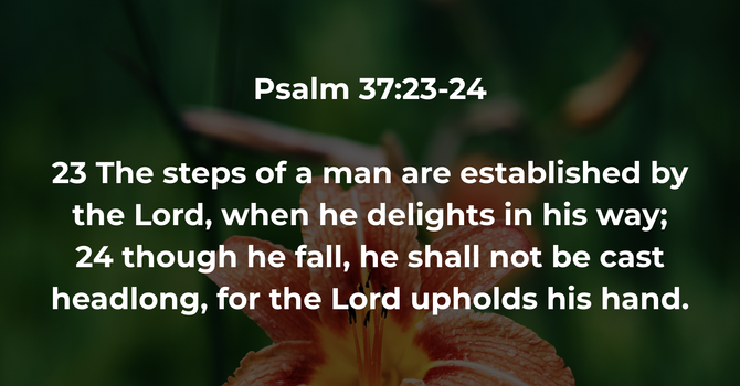 Psalm 37:23-24 image