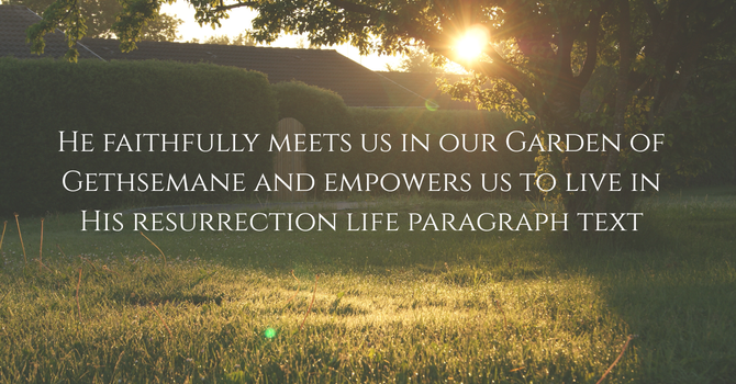 The Son Who Trembled: Jesus’ Humanity and Our Walk as Sons, Hebrews 5:1-10