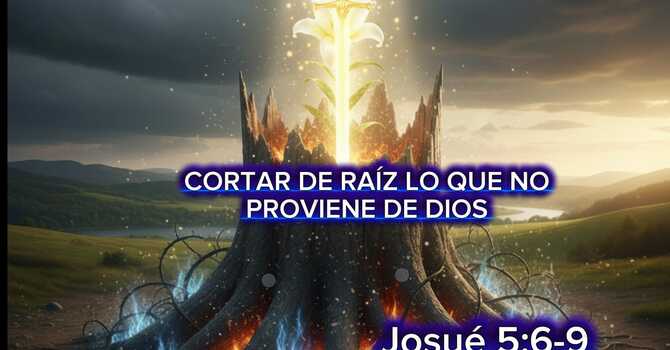 Cortar de raiz lo que no proviene de Dios