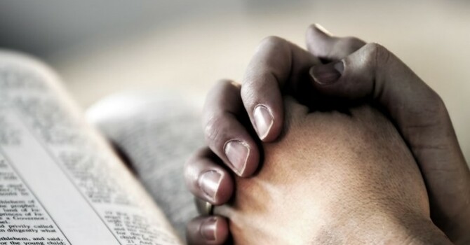 Bulletin 04 January 2026 image