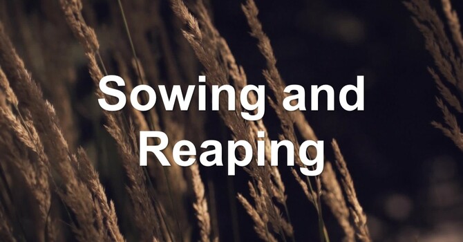 Sowing and Reaping