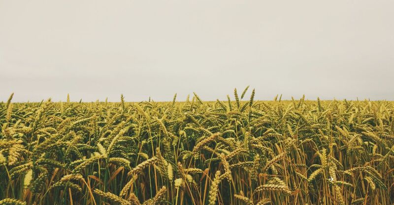 Anyone Can Plant a Church. You In?