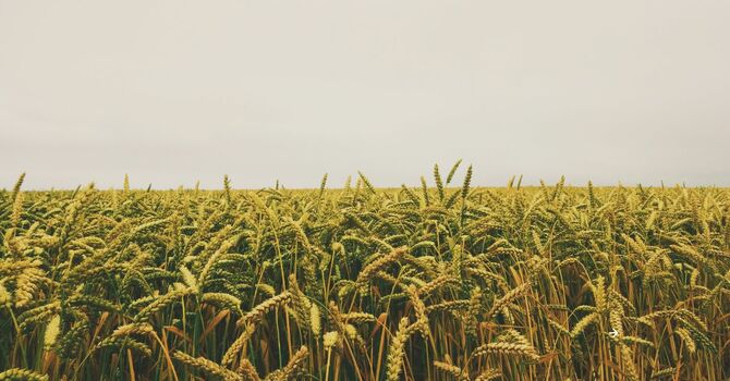 Anyone Can Plant a Church. You In?