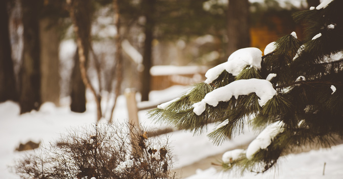 Winter News & Activities image