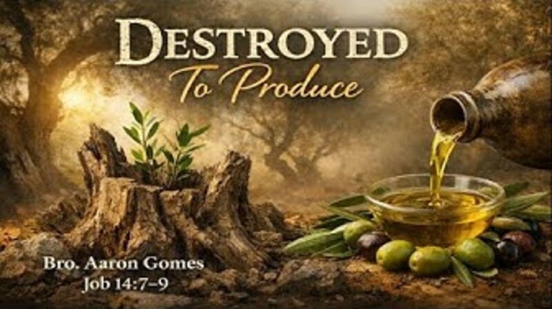 "Destroyed To Produce"
