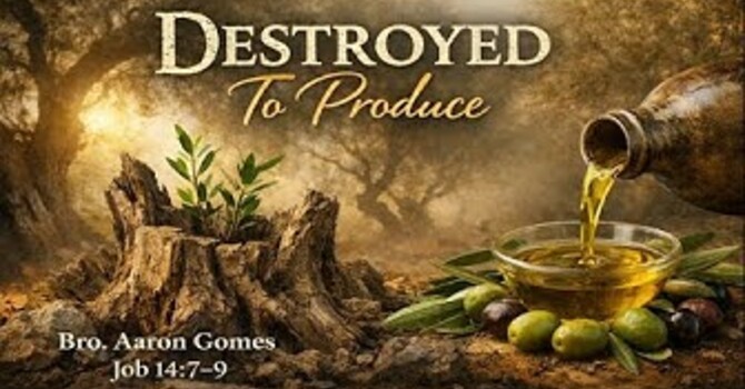 "Destroyed To Produce"