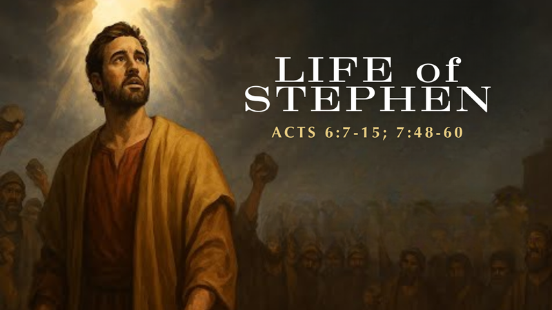 The Life of Stephen