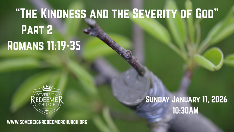 “The Kindness and the Severity of God” Part 2