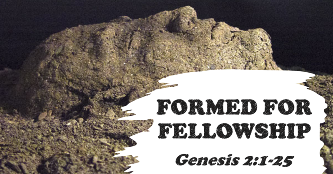 Formed for Fellowship