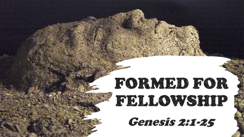 Formed for Fellowship