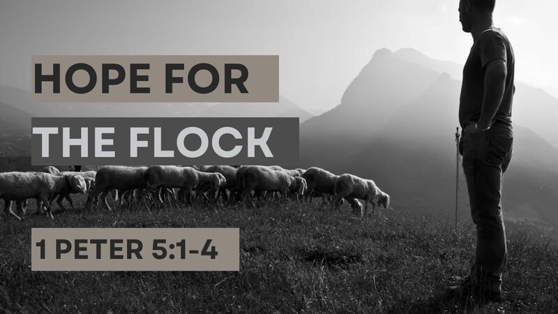 Hope for the Flock