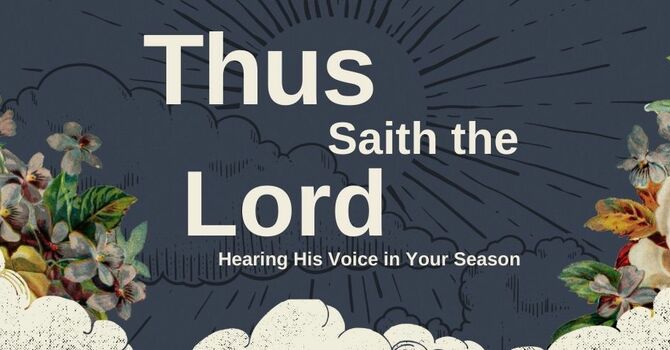 The Ancient Echo image