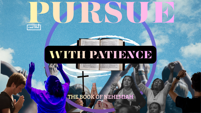 PURSUE. Week 2.